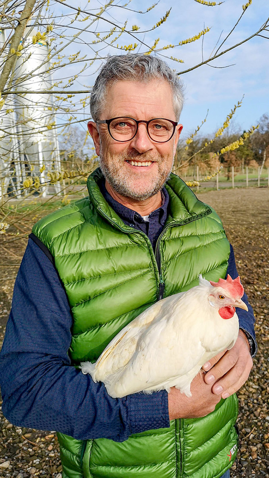 Axel Månssons høns sikrede koncernen 13 mio. kr. til bundlinjen efter et år, hvor grøntsagssalget gik i rødt, mens investeringen i biogas gav et solidt afkast